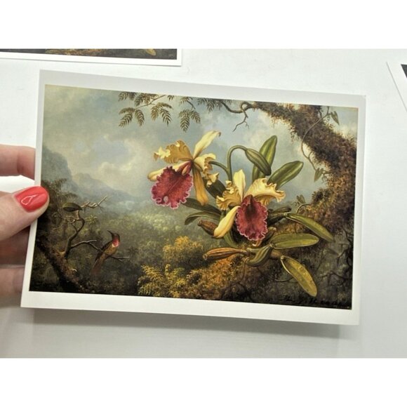 Museum of Fine Arts Boston Note Cards 6 Blank Orchids Hummingbirds w/ Envelopes - Picture 3 of 15